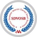 SDVOSB-2.png